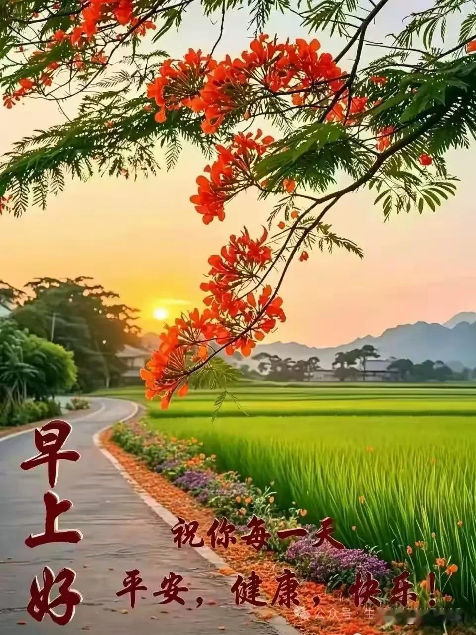 《鹧鸪天·心向阳光》世事阴晴本自常，莫因云翳损清光。心携暖意从容走，一
