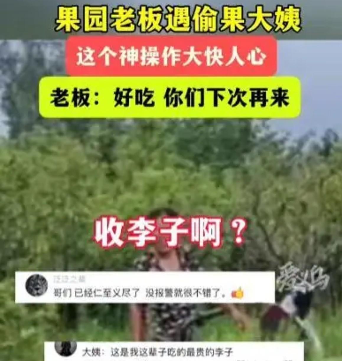 “白嫖失败反被嫖！”山东济宁，男子去果园，发现有2个大妈拿着水桶，在偷摘他家李子