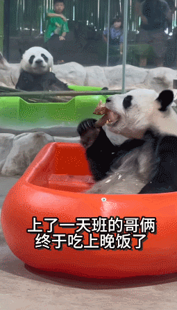 这大概就是每天最温馨的时刻了​​​