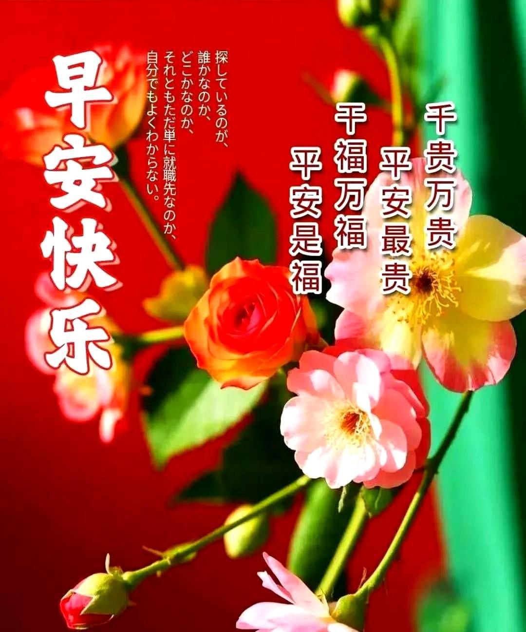 祝福声声传千里愿您岁岁皆如意要想活得更美丽就要有个好身体活得透亮其实就一