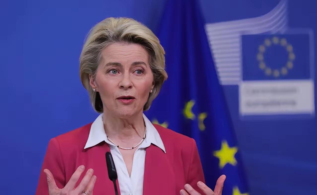 欧盟27国，集体跪了！欧盟这次，意见出奇地一致。二十七个国家，全都举手同意了