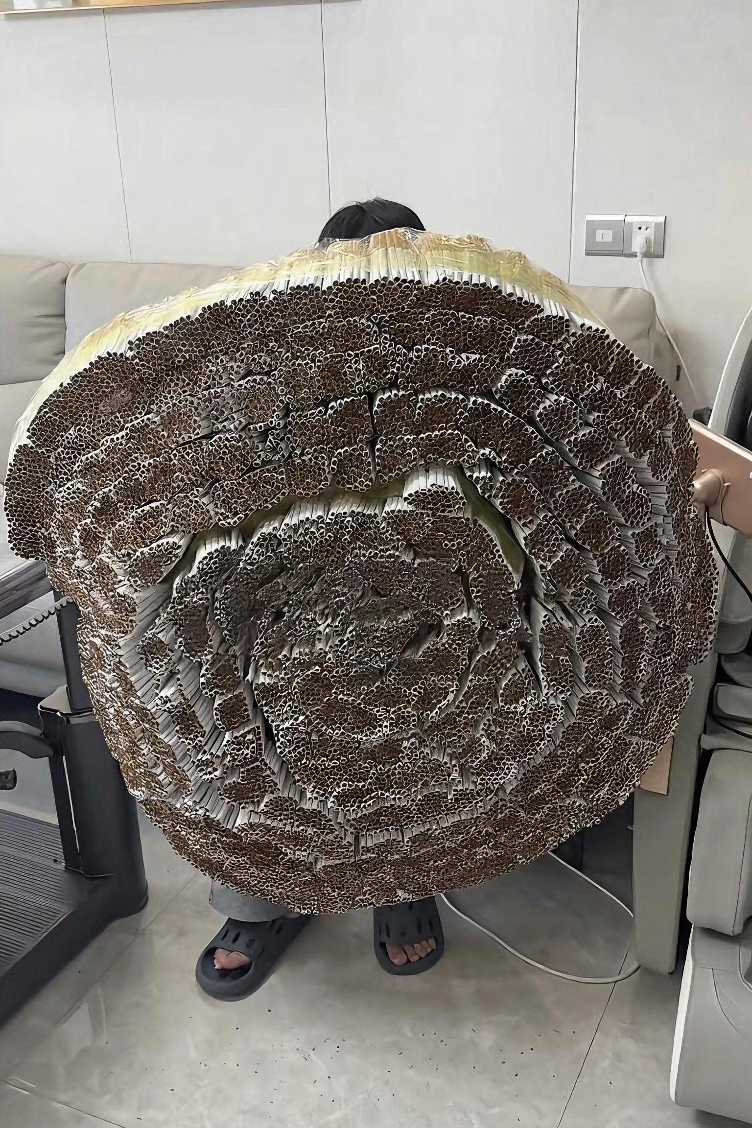 好家伙，这口整上了，会怎么样？