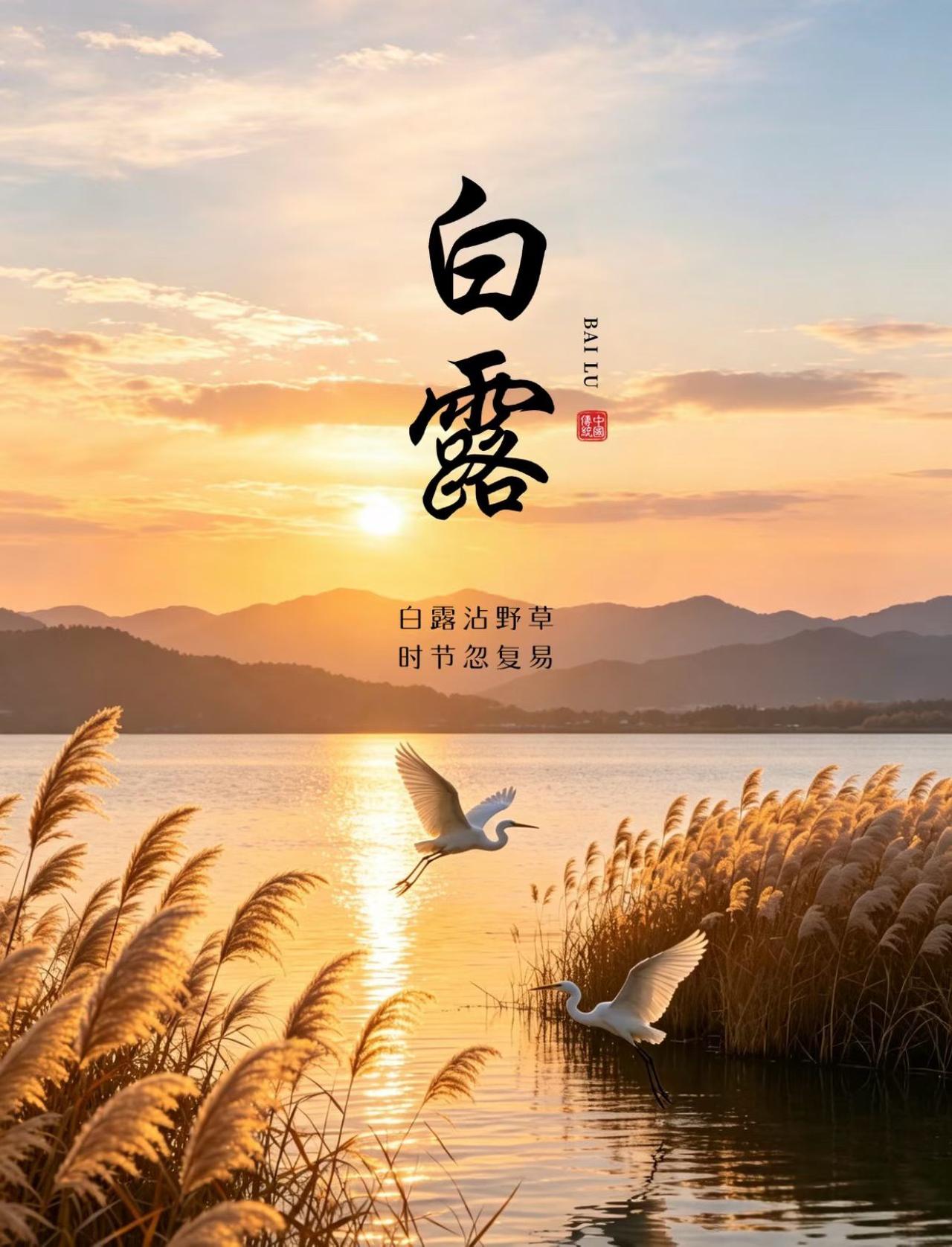 白露节气还要注意⚠️点啥？第一，别露脚踝！老辈说“白露身不露”，早晚气温