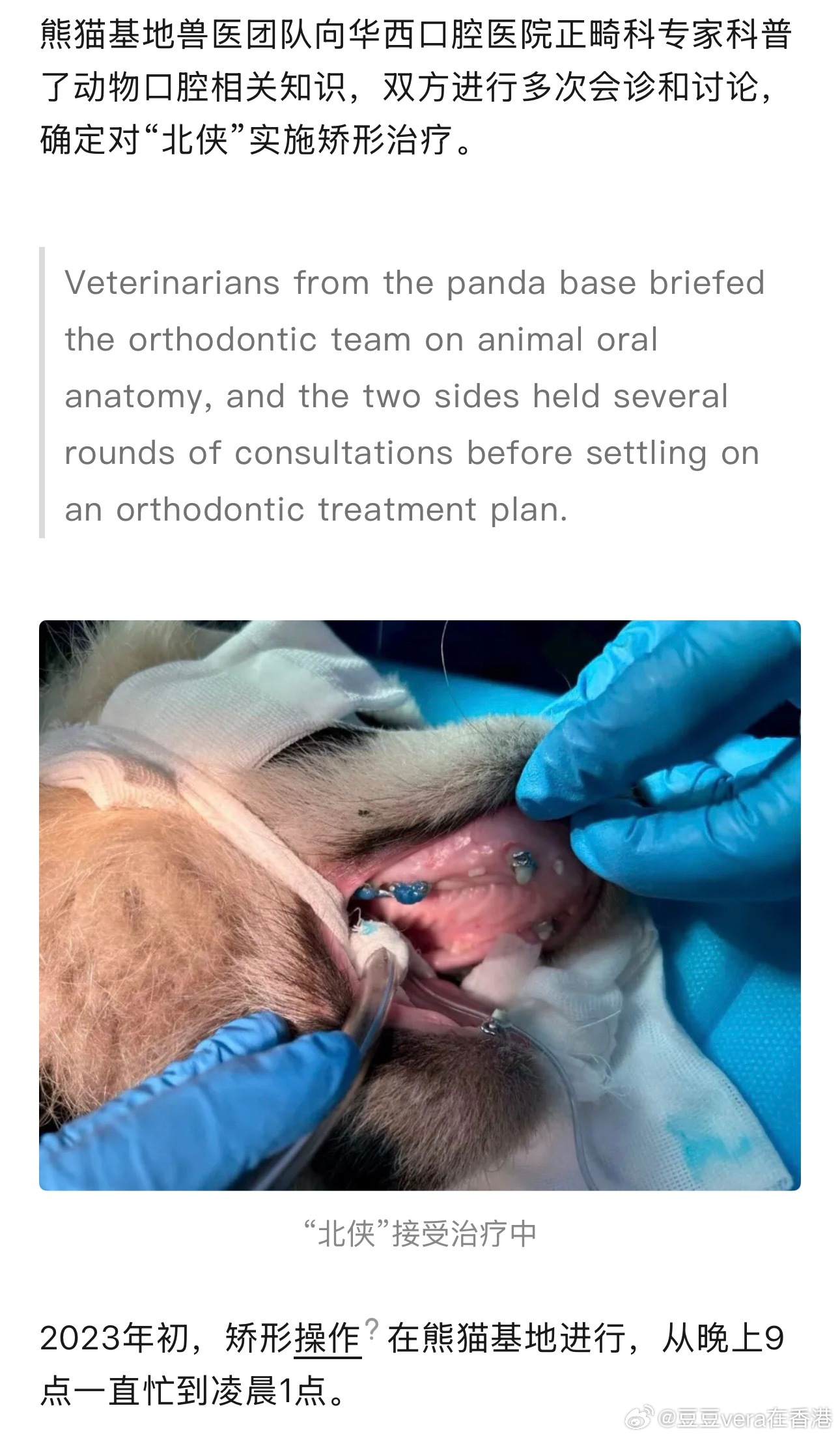华西医院给熊猫做正畸手术，应该拍成纪录片，太有价值了​​​