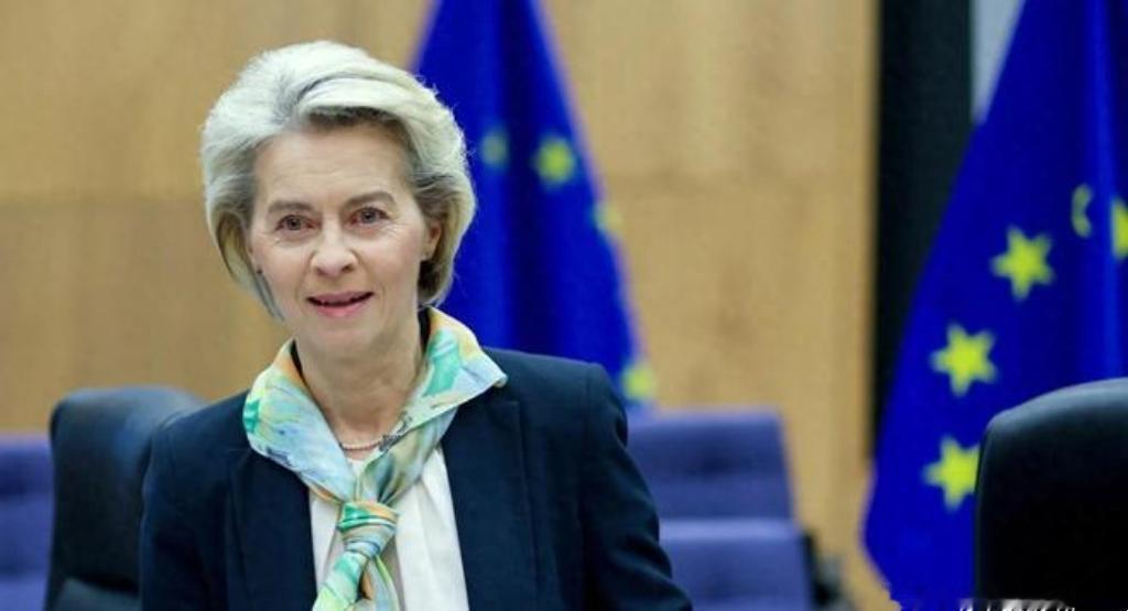 12月的欧盟会议，这场面真是尴尬出了天际。冯德莱恩还在那慷慨激昂，宣布要“永