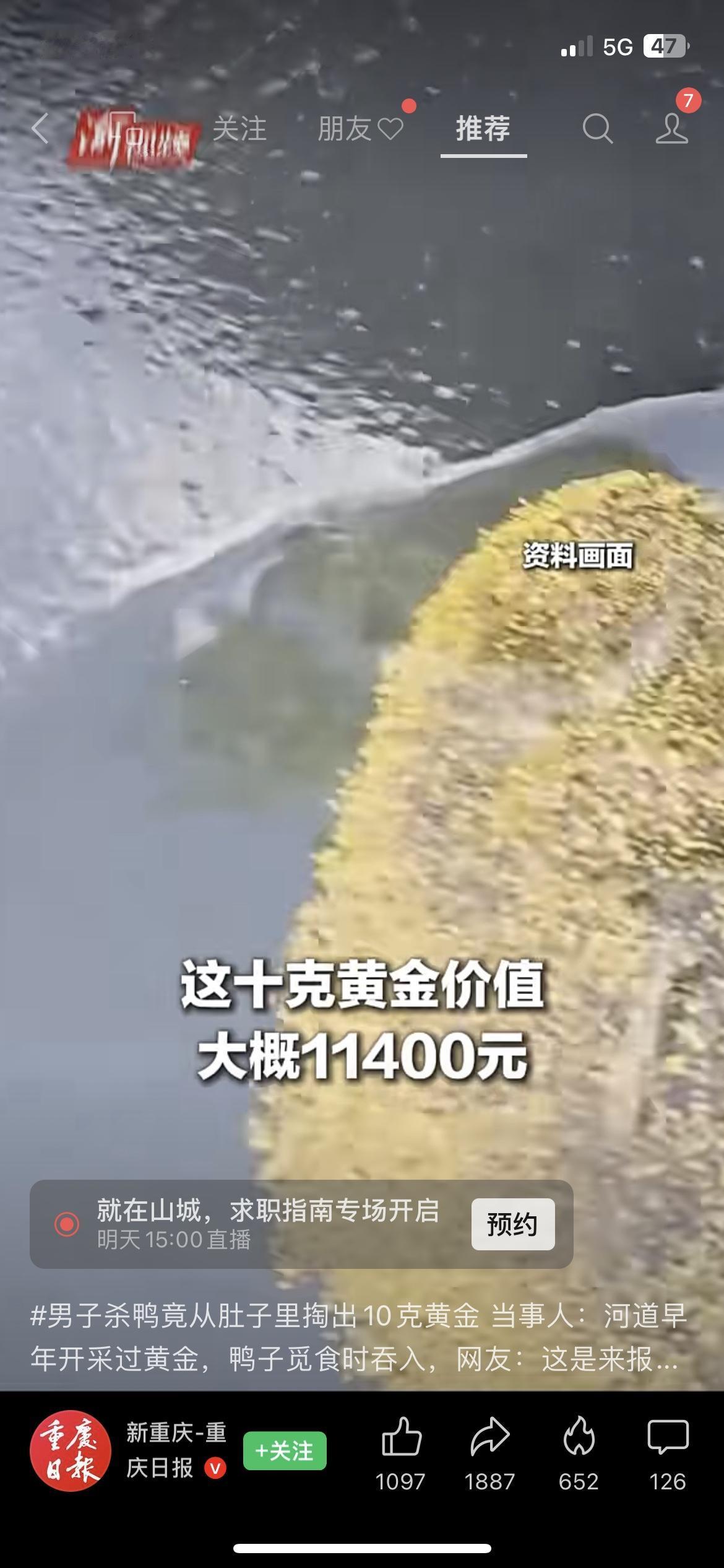 过年杀自家散养的鸭子，居然从肚子里掏出了10克黄金，这运气也太绝了！💰据重