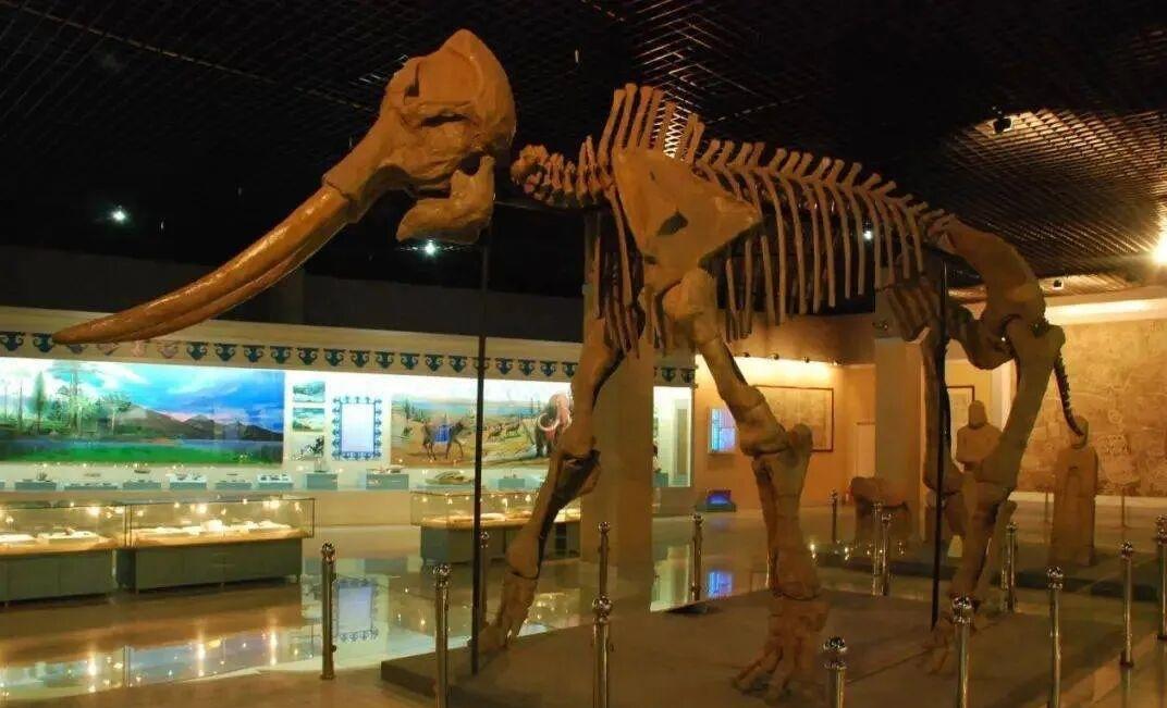 1983年，青岛胶县胶莱公社赵家大高大队社员王允仁在村东南一公里处的大沽河河道挖