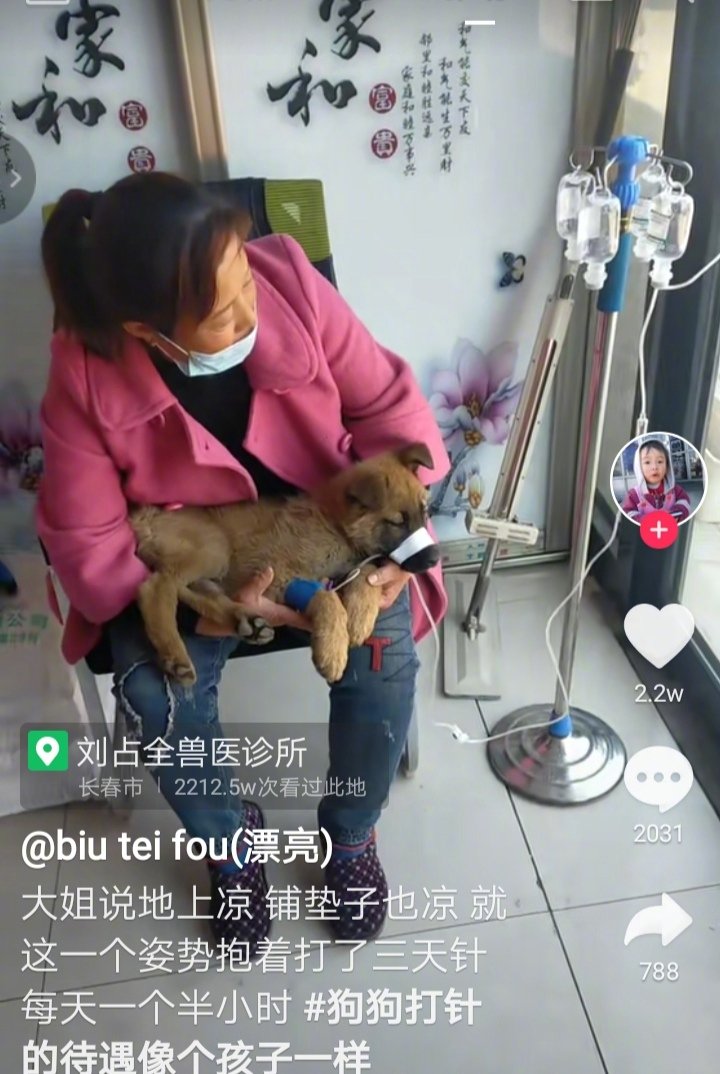 这位大姐家的中华田园犬病了，吊了三天的水，每天一个半小时，大姐怕地上凉，就是铺垫