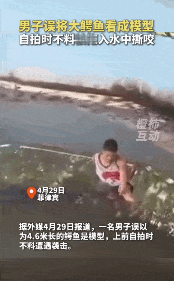 “不作死就不会死！”4月29日，菲律宾一男子在游玩时，竟将一条4.6米长的大鳄鱼