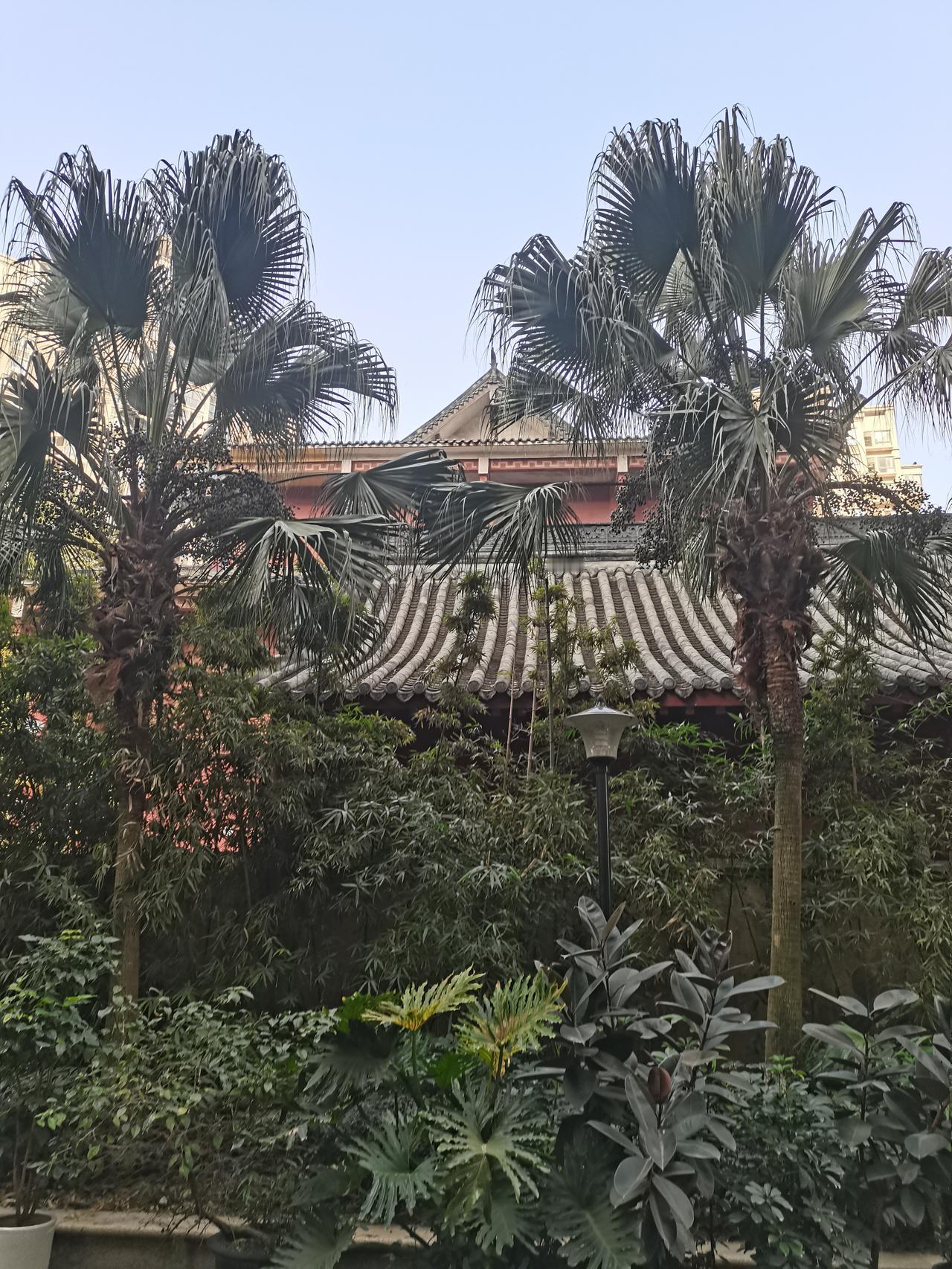 探索成都宝藏地方，中和的一个禅寺！小众寺院