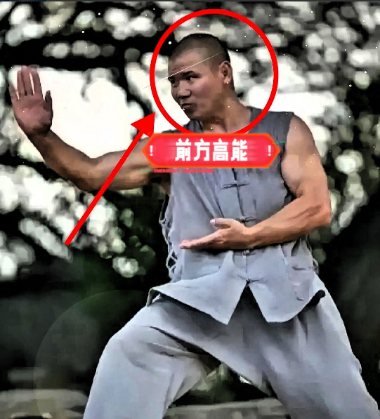 刚查了一下，不查不知道，释永信被抓后原来最担心的竟是远在海外的弟子释延孜。