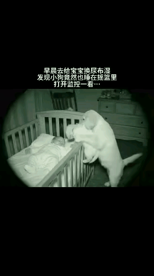泪目了！”一女子让宝宝独自睡摇篮，早上起来给宝宝换尿不湿时，却意外发现家里小狗也