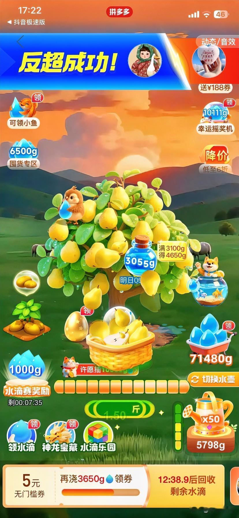 我的拼多多种水果的小树，我又开始打理，浇水了！自从几年前开始种水果，我收获了很多