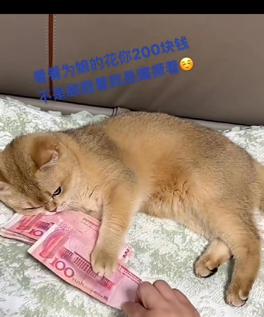 这可不只是只招财猫，更是一只守财猫。当主人拿走200元后，想再多拿100元都没门