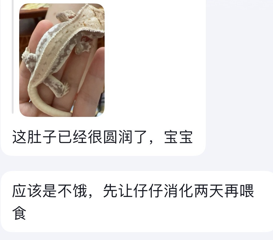 对不起。。我们焦虑型家长是这样……
