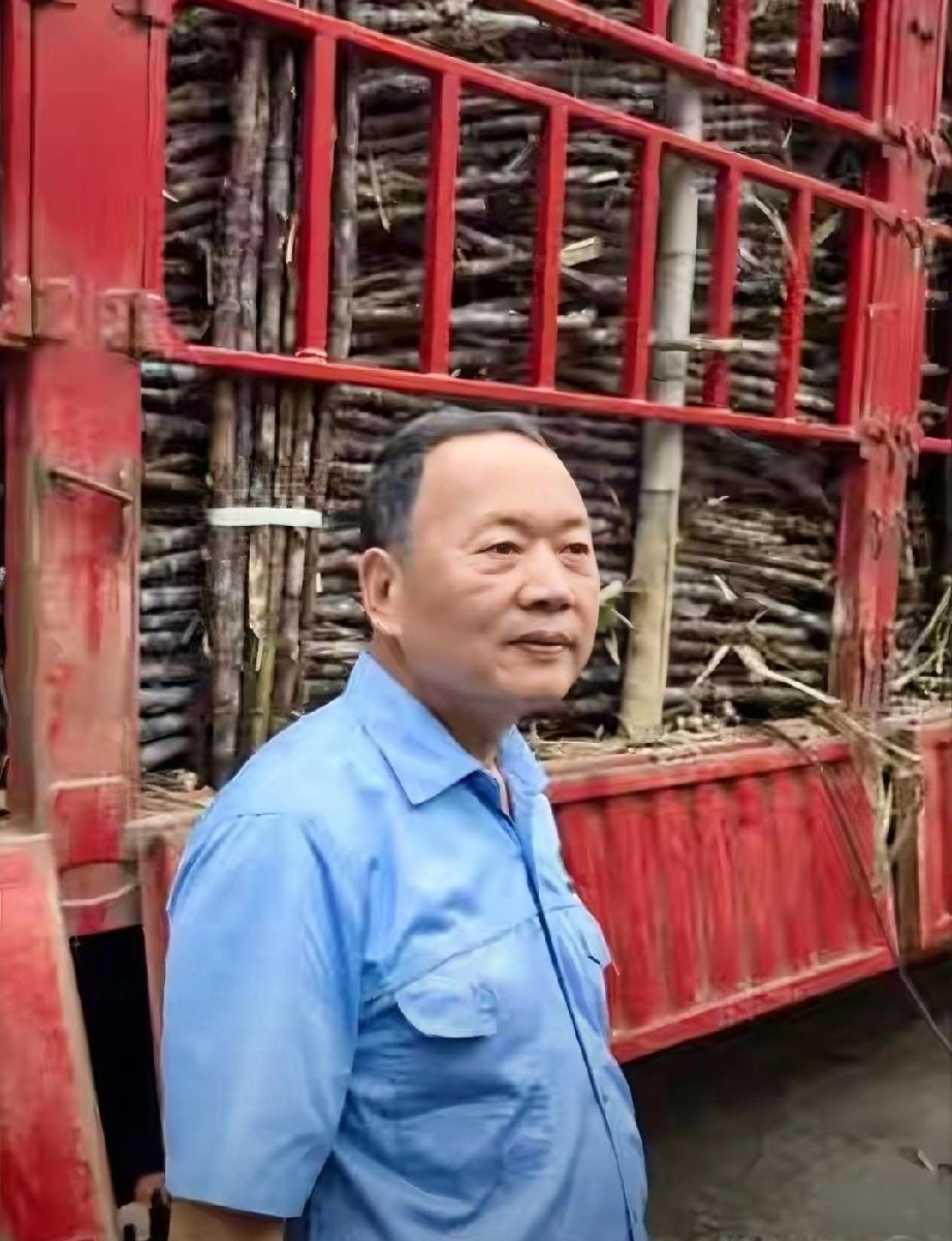 甘蔗运来我们都要！”广东化州一糖厂主动收购蔗农滞销果蔗，几百辆货车排队两三公里等