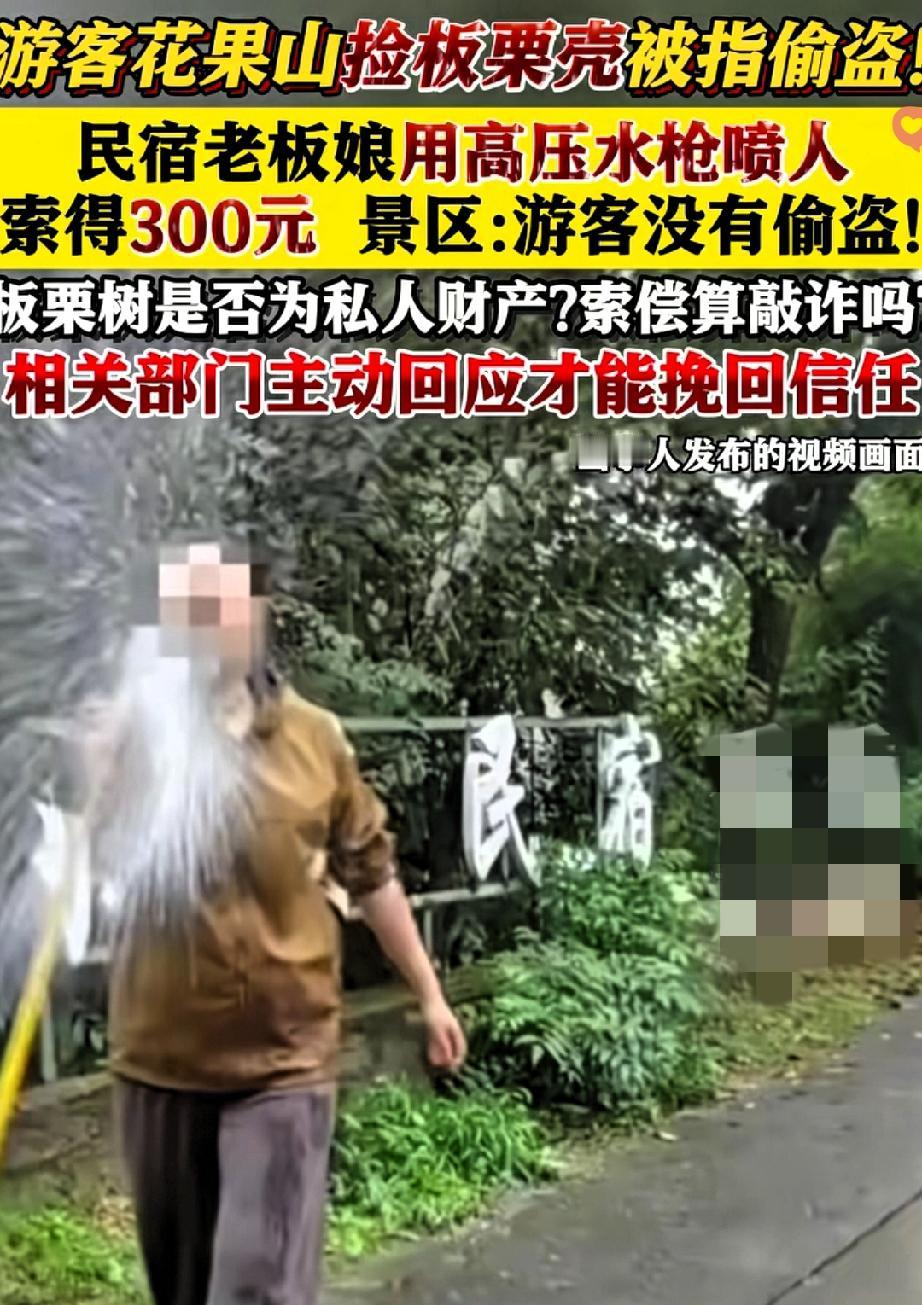 一个板栗壳差点砸崩连云港文旅？这波操作真让人看傻了！游客就是好奇捡了个地