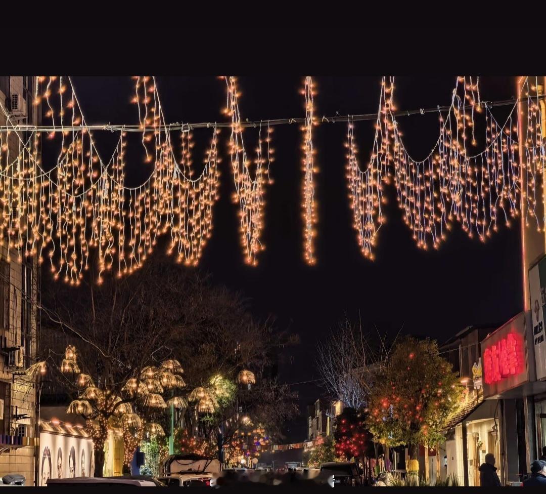 回家的路，被这一盏盏红灯笼点亮。树影婆娑间，暖光映照着路面，也映亮了归人的心。这