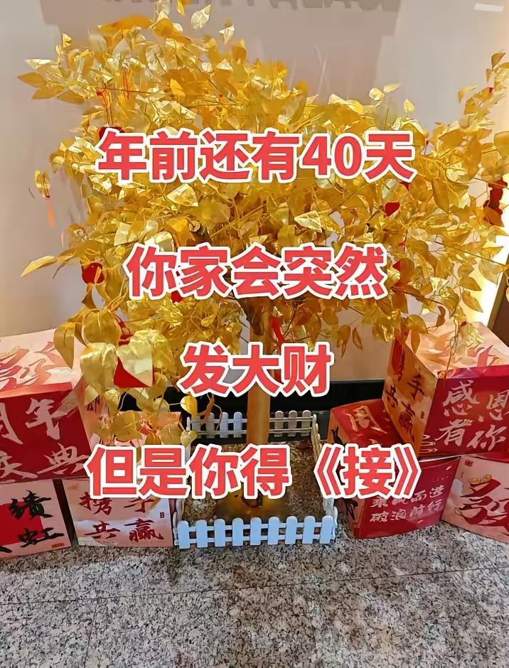 紧急接住！年前只剩四十天，天降暴富好运砸向你家🔥刷到就是缘分，接者必发大财