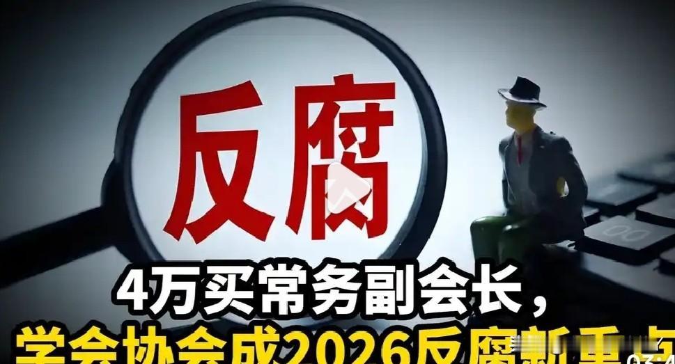 中纪委强调：学会协会是2026年反腐败新增重点领域，与金融、国企、能源、教育、开