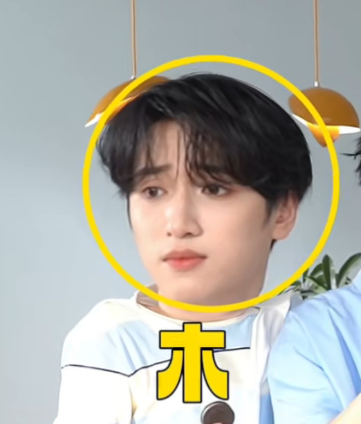 小熊🐻本熊