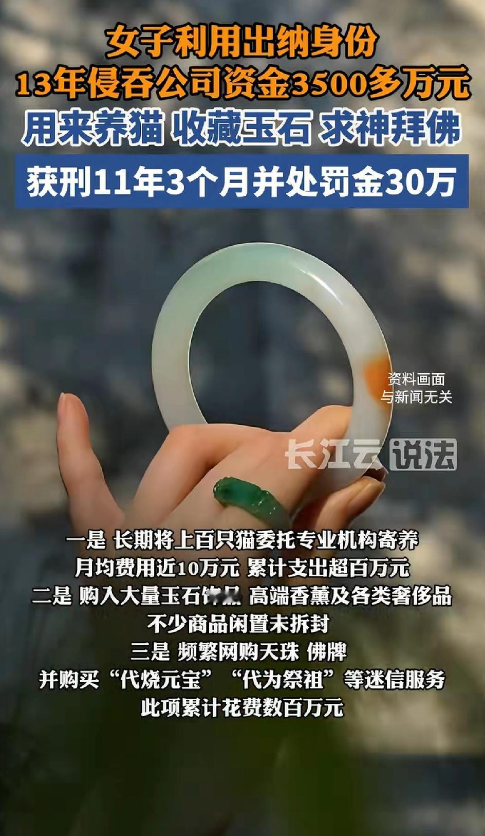 女子利用出纳身份，13年侵吞公司资金3500多万，用来养猫，收藏玉器、高端香薰、