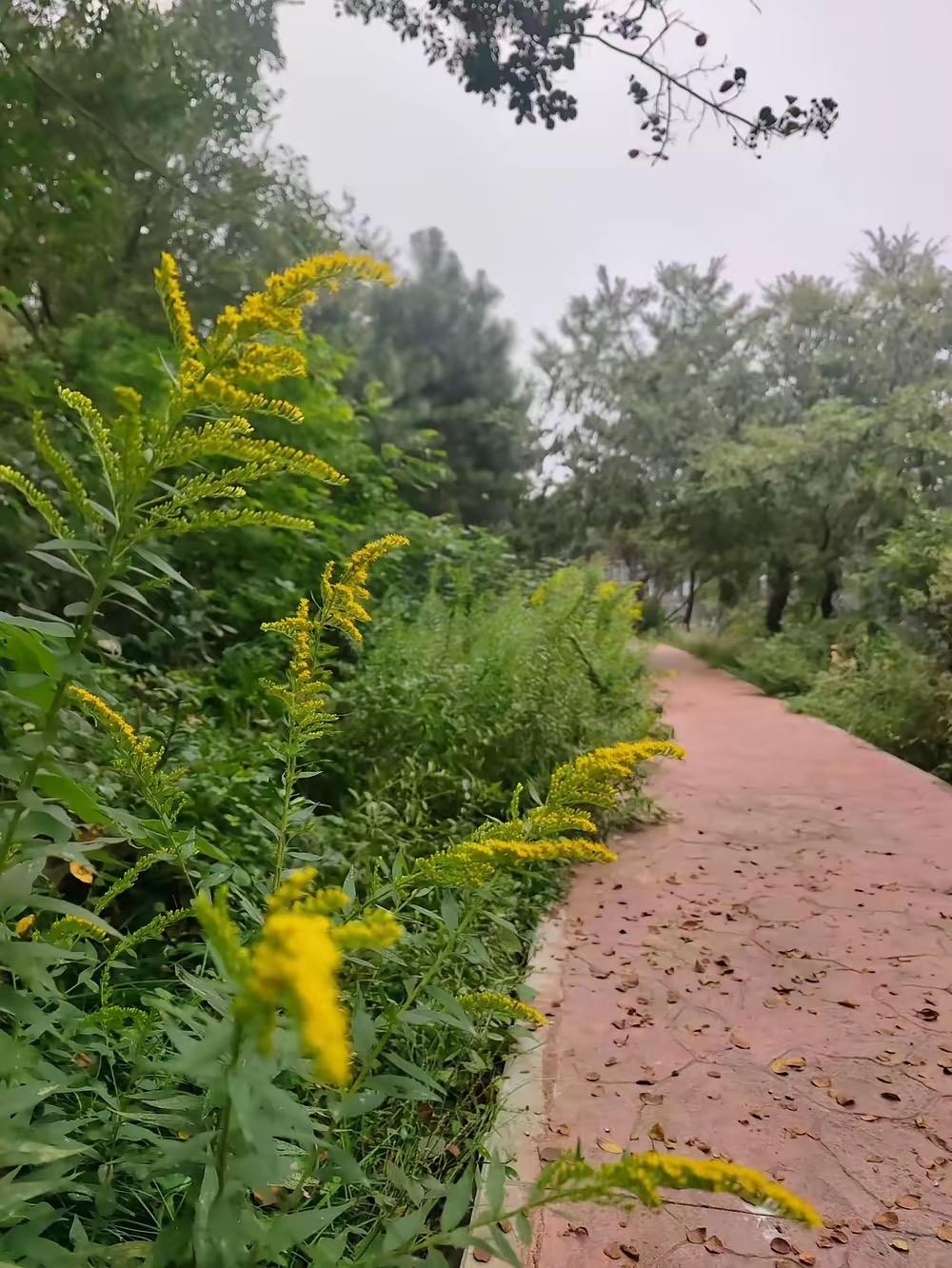 我有个闺蜜42了，现在税务局上班，人长得不错，身材也不差，一直未婚，没有交过男朋