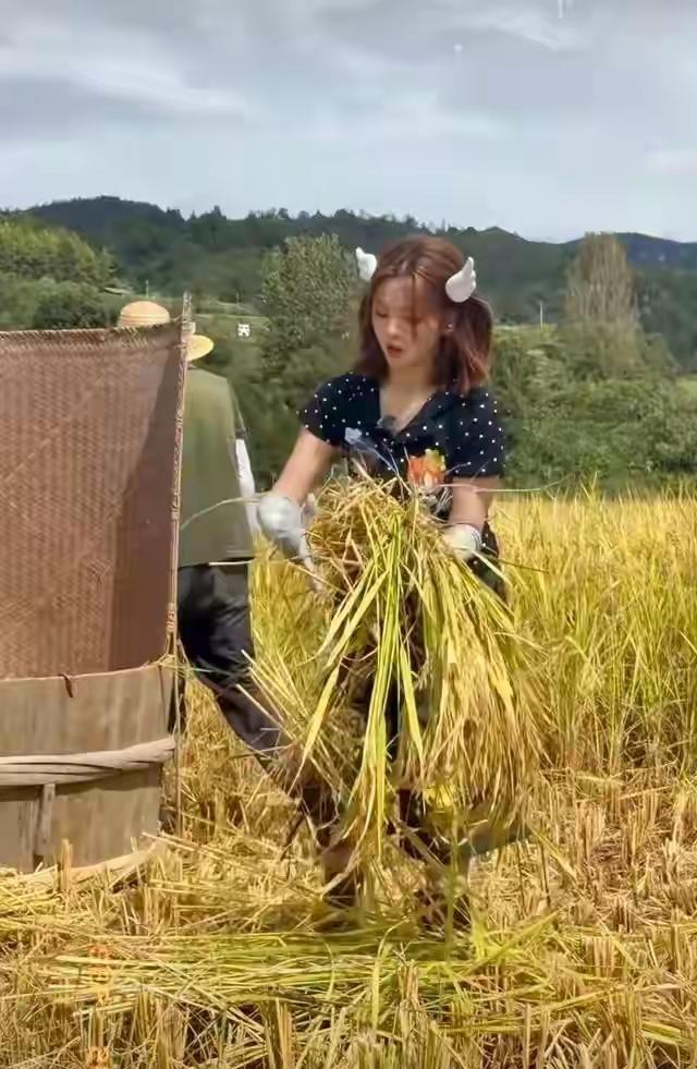 真人秀节目可不可以与时俱进一点？杨超越打谷子的视频，这两天网上到处都是，看得出