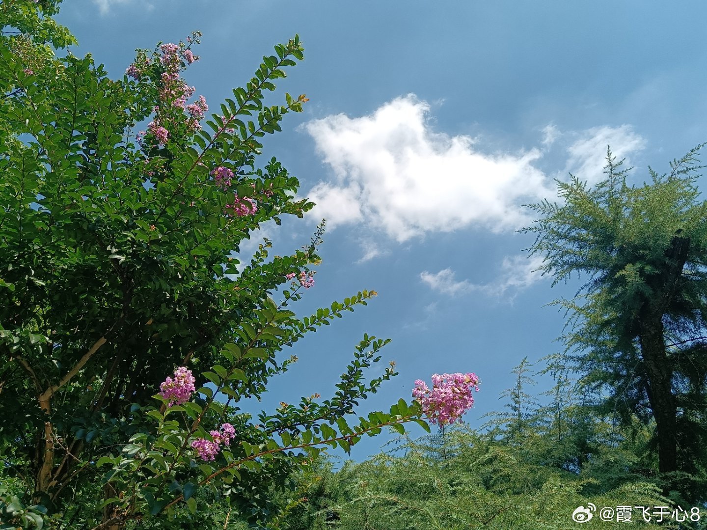 手机摄影秋天是很容易寻到诗情画意的好时光