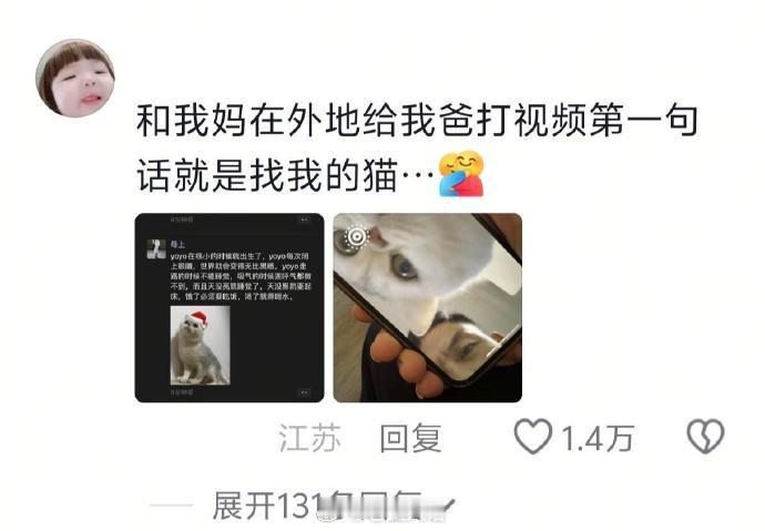爸妈：猫仔是一位顶级修禅者！真香！