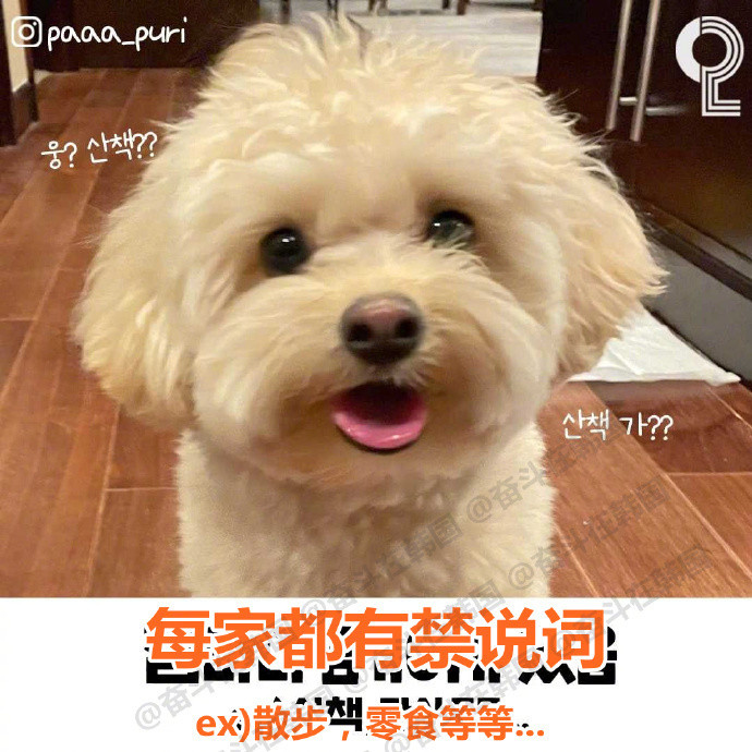 养小狗的家庭基本都经历过的情况​​​海外新鲜事热点现场​​​