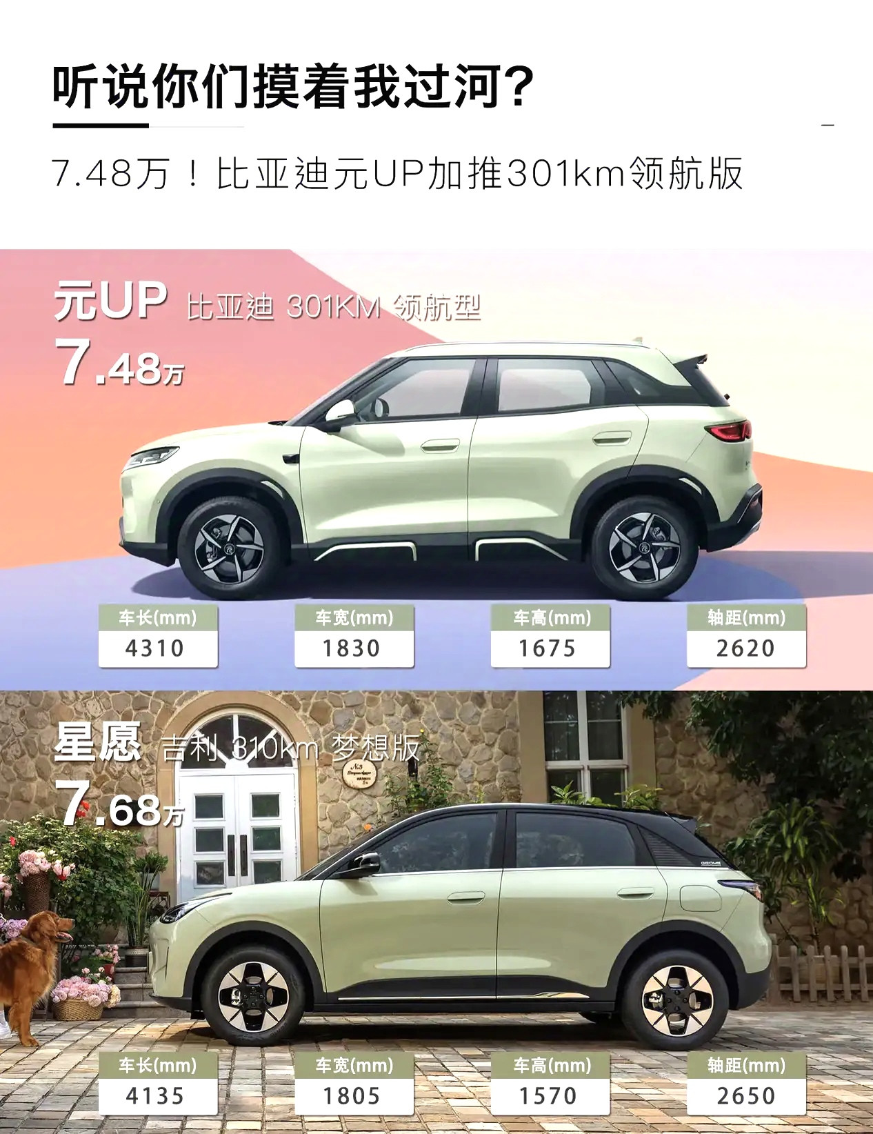 狠起来连自己都打，比亚迪以其人之道，还治其人之身！星愿把海鸥打惨了，比亚迪终