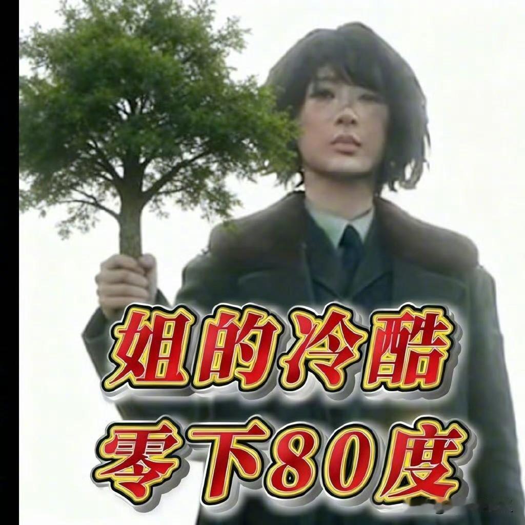 杨紫的头像以前不是牡丹，不是小夭，不是林之校，现在不是祯娘，不是董竹君，而是白菊