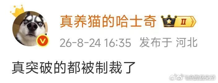 其实还有个冷知识，真突破了的，是不担心自己被制裁的，比如大疆。。不卖给美国人，美国人还要悄悄偷运零件