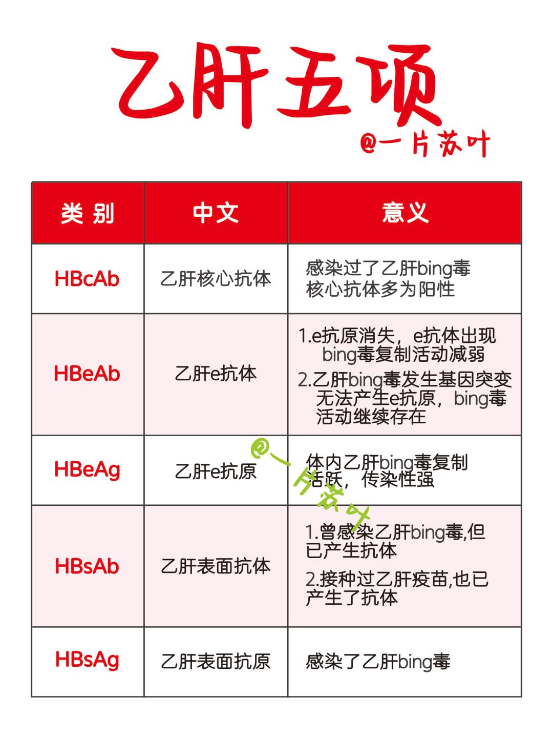 手写笔记✅轻松看懂乙肝五项‼️