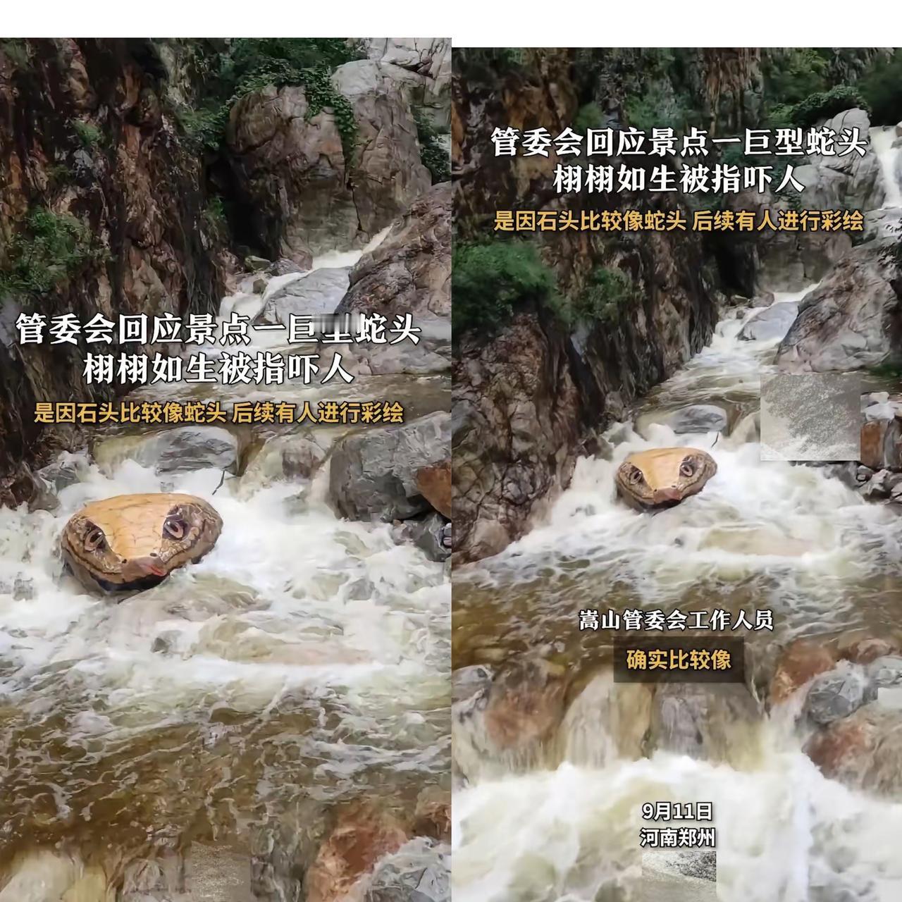 河南一景区“蛇头惊魂”冲上热搜！游客正美滋滋拍瀑布，突然撞见个巨型蛇头，吓得手