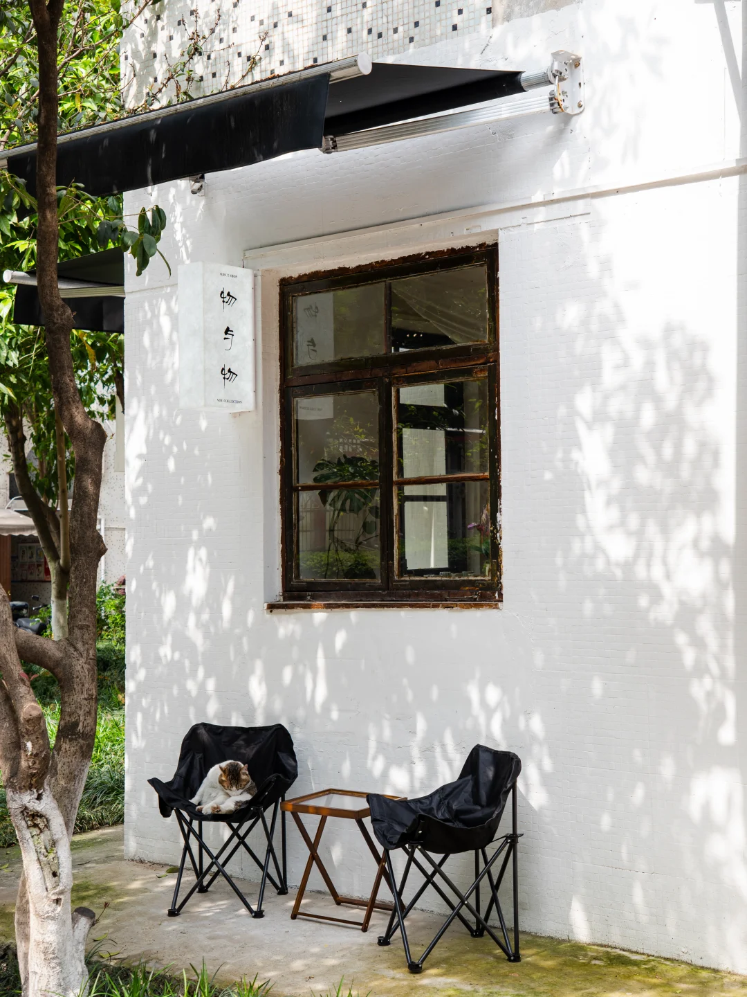 物与物的猫猫主理人，在等你🌞