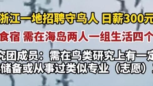 日薪300招“守鸟人”,管吃管住,要在海岛上住4个月,你愿意吗?