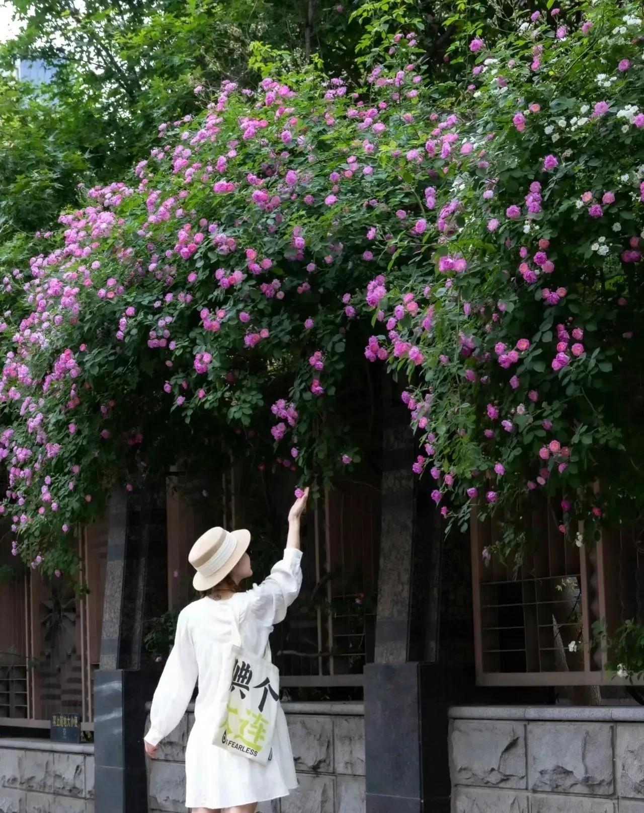 现在无论是大城市，还是小城市里单身的大龄青年都不少，究其原因，不外乎以下几点：