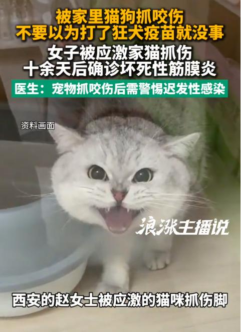 8月7日报道陕西西安，一女子被家猫抓出血，全程规范打完疫苗、伤口快速结痂后本以为