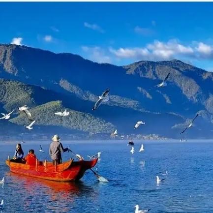 这只鱼火上央视！丽江现实版小石潭记，治愈千万人“这只鱼火上央视了！”云南丽