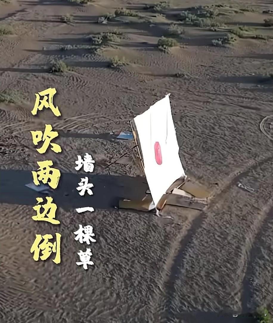 这靶标，设置的一点毛病没有，年轻的士兵渴望建立功勋！之前，一次的实战演训画面