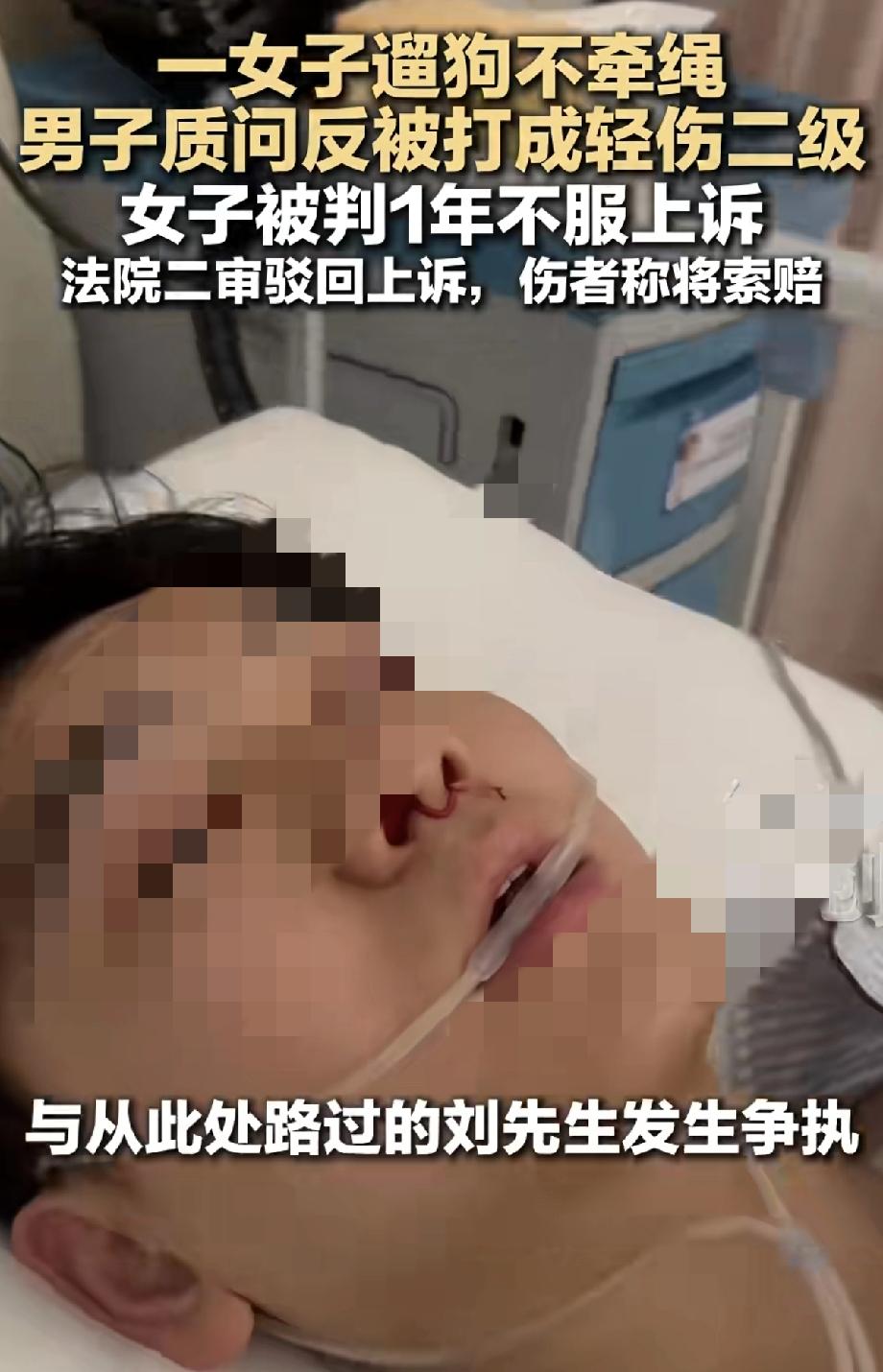 万万想不到，小伙只是劝说一不牵绳遛狗的女子，让给狗纤绳，就被女子打进医院，打成轻