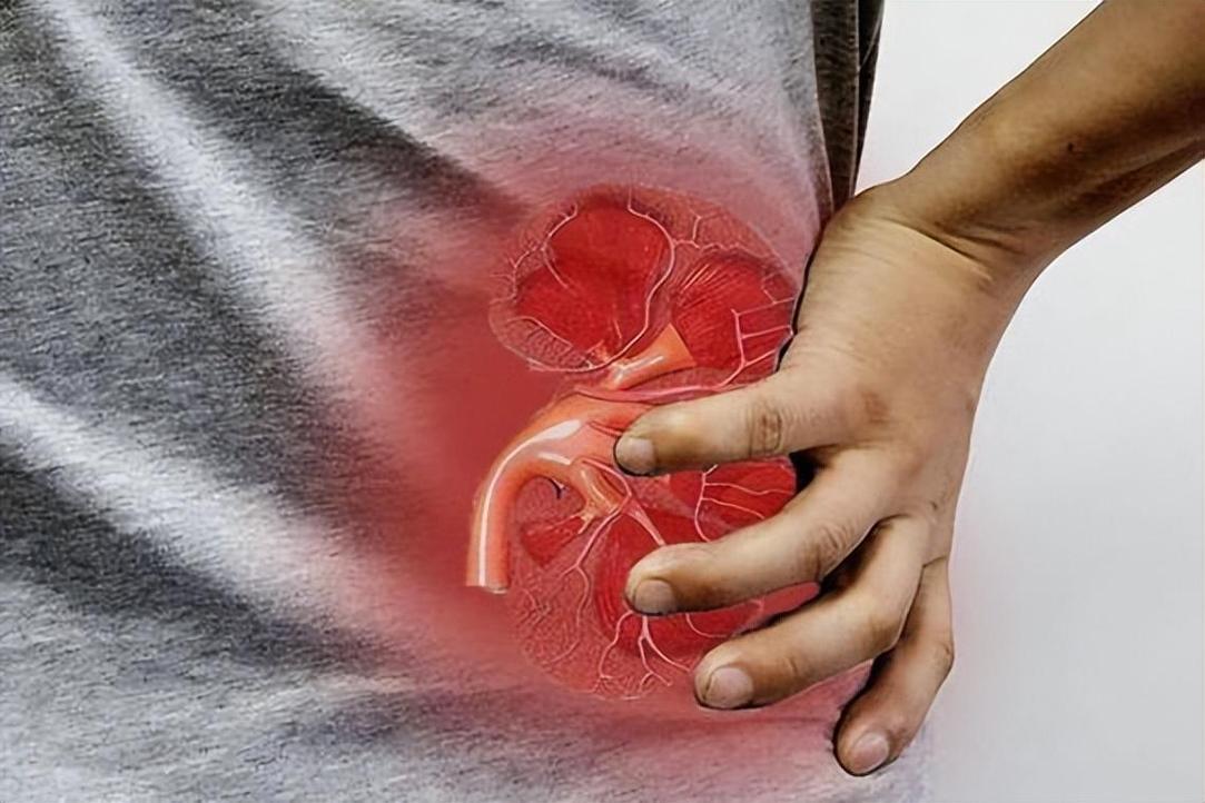 肾衰和吃鱼的关系被发现？医生：肾脏不好的人，饮食要注意这5点最近，关于肾脏和