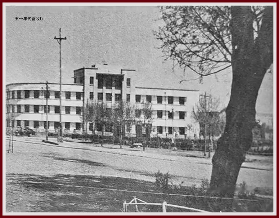 呼和浩特五十年代系列老照片（一）老呼市印象从今天开始陆续分享几张呼和浩特地区