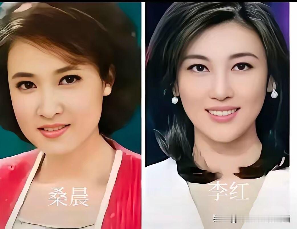 两位都是央视一等一的美女，要在两位中选一个最好看的，你觉得会是谁呢？桑晨是