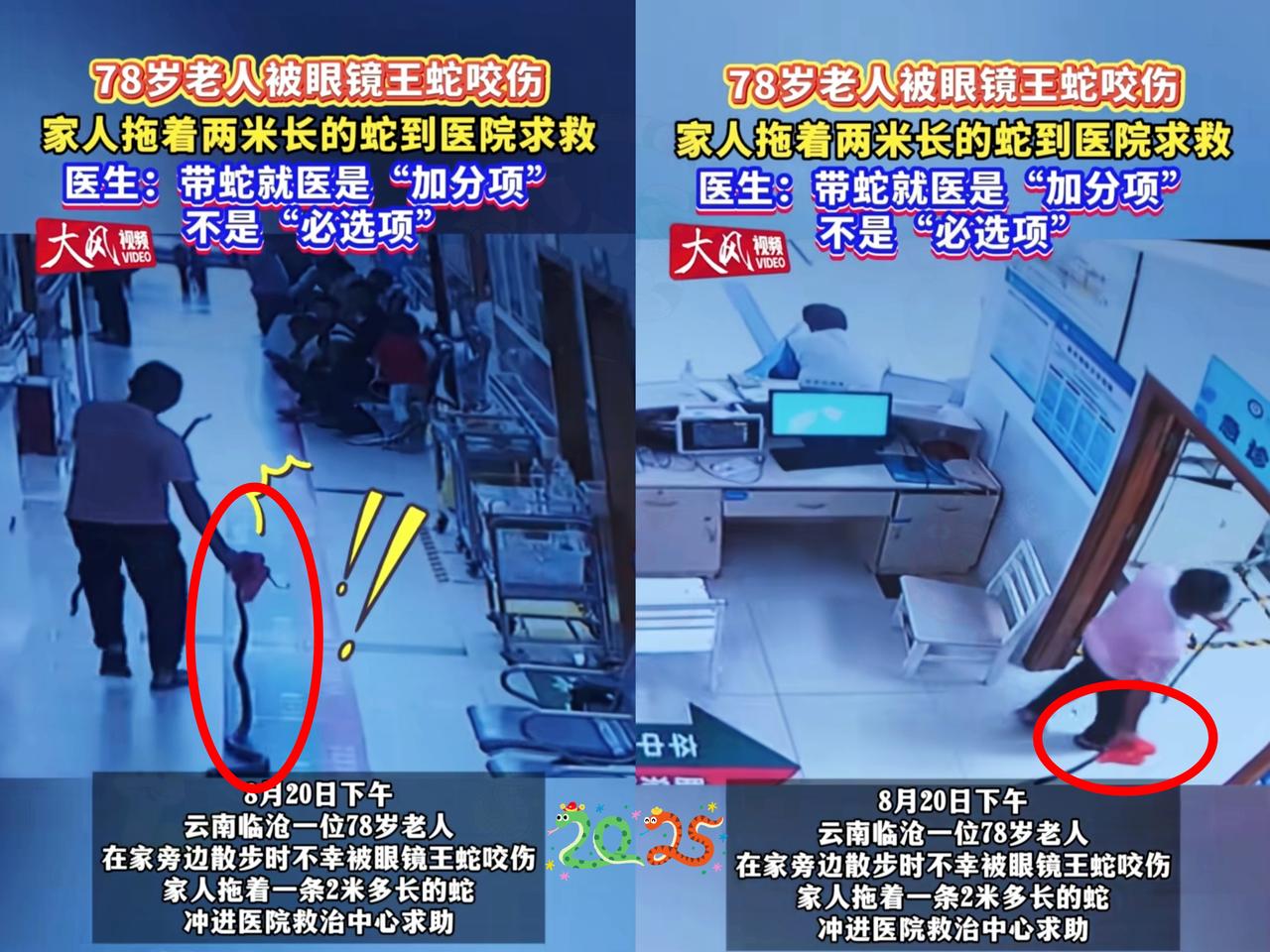 原来《农夫与蛇》的戏码真会在现实上演！8月23日，央视新闻报道云南临沧这位78