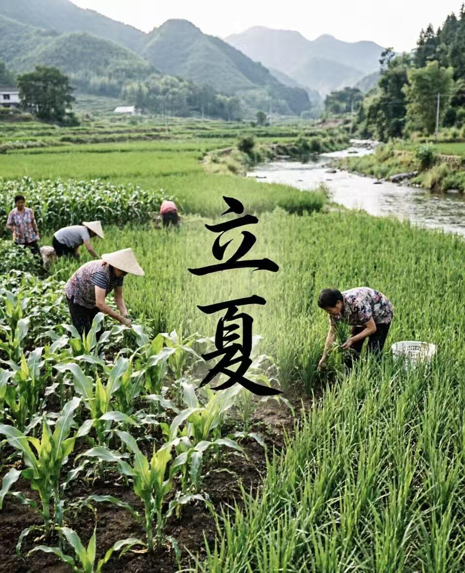 立夏到！农村老辈提醒：3个农俗+2句农谚，关乎庄稼收成，别大意家人们，立夏已