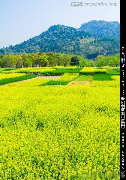 农民靠种地能养活一家老小吗?农民靠种地能不能养活一家老小，还真不能一概而论。那