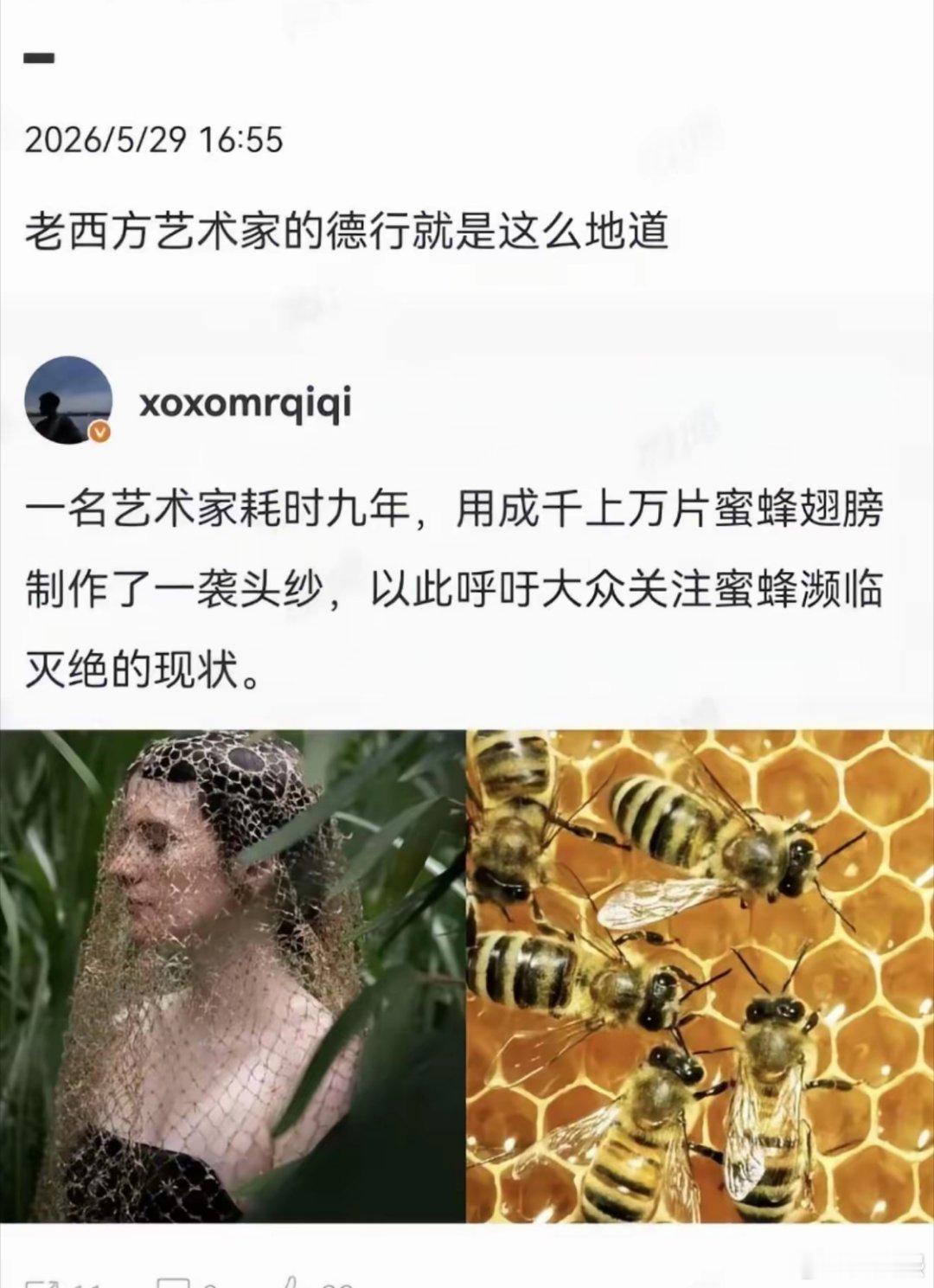 蜜蜂这是造了多大的孽，遇到你这么一个“好心人”